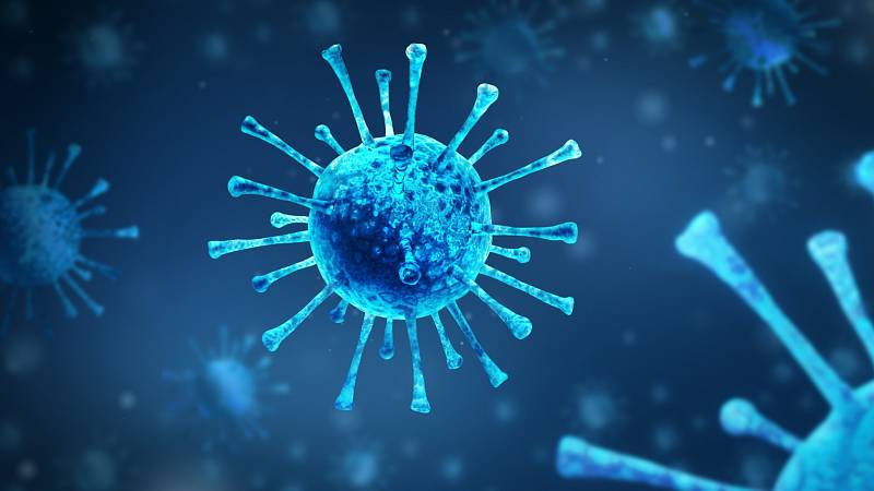 Virus – špatná zpráva obalená bílkovinou