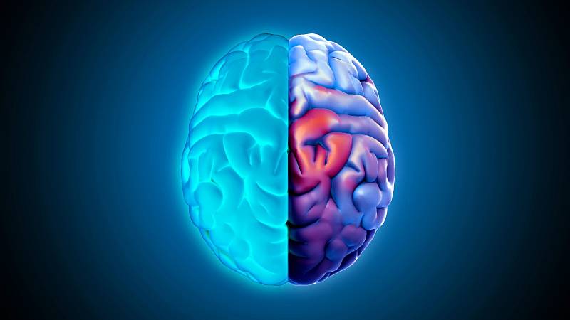 Lateralita a harmonizace mozkových hemisfér 2. díl