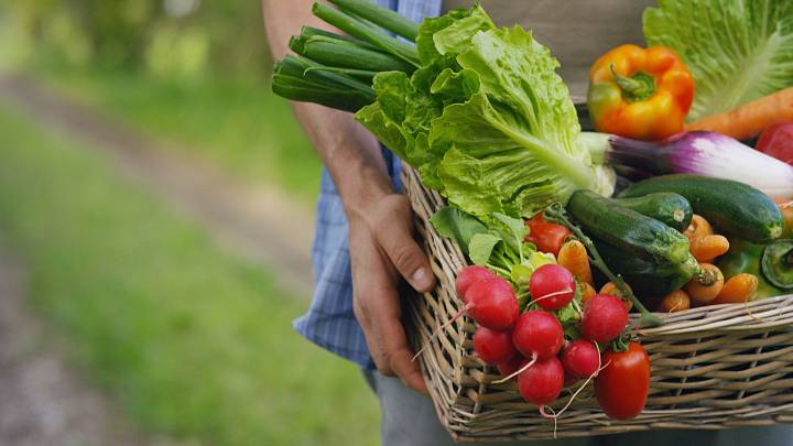 Půl kila zeleniny denně: Obsahuje váš jídelníček dostatek ovoce a zeleniny?