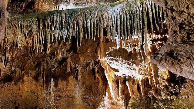 Koněpruské jeskyně patří mezi poklady českého podzemí