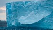 šelfový ledovec