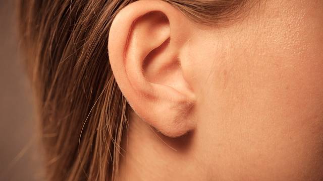 Vědci poprvé vytiskli lidské ucho na 3D tiskárně