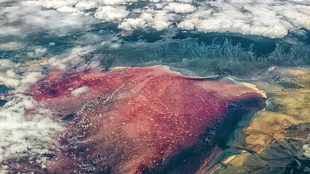 Jezero Natron je jedním z nejdrsnějších prostředí na planetě