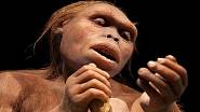 Australopithecus afarensis chodil po naší Zemi dávno před vznikem našeho druhu