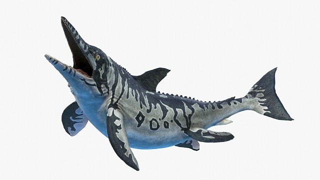 ichtyosaur