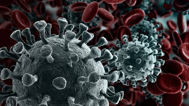 Důkazy o starobylé pandemii koronaviru nalezené v Asii
