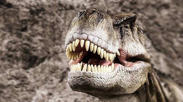 Nová studie naznačuje, že skutečný T. rex měl odlišnou tlamu