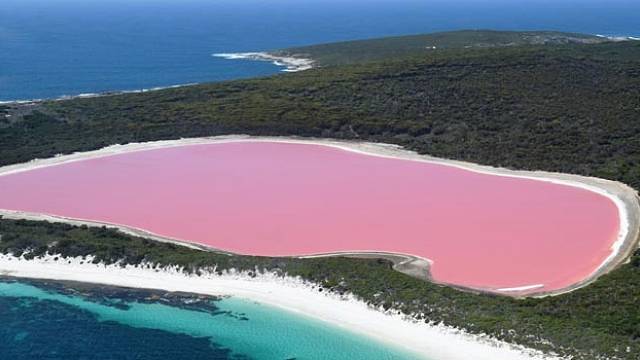 Za růžovou barvou jezera stojí mikroorganismy