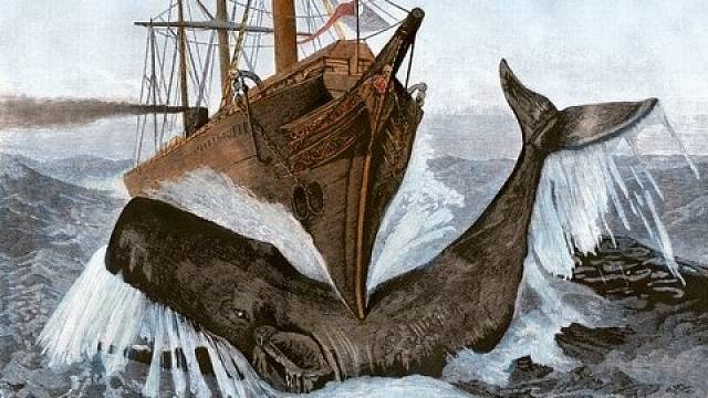 Tragický příběh posádky velrybářské lodi Essex