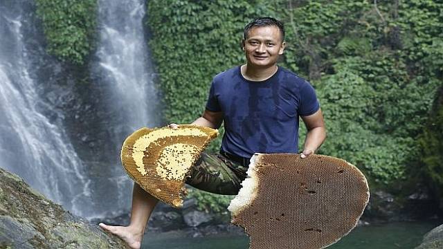 Nepálští muži sbírají divoký med z útesů hor