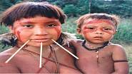 Yanomamové konzumují kosti svých zemřelých