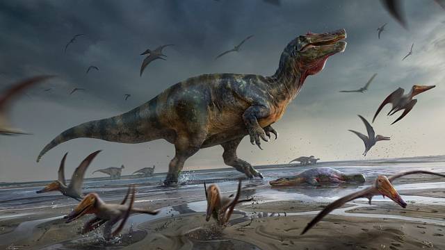 Umělecká rekonstrukce „White Rock spinosaurid“ na písčitých plochách