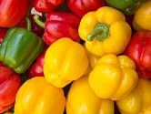 Cena paprik překročila 100 Kč za kilogram.