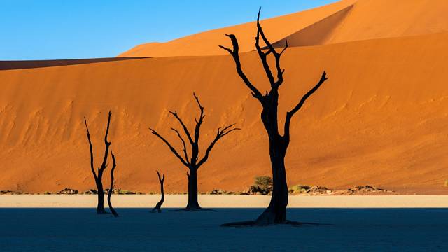 Mrtvá pláň v Namibii láká fotografy a filmaře, vznikají tam neuvěřitelné snímky