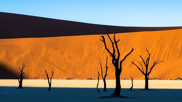 Mrtvá pláň v Namibii láká fotografy a filmaře, vznikají tam neuvěřitelné snímky