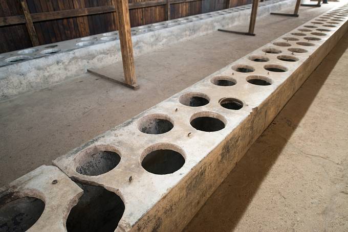 Na latrínách v Osvětimi se ráno musely vystřídat tisíce vězňů.