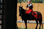 Vychovatel učil Ferdinanda šermu a jízdě na koni.