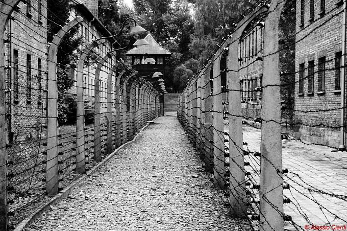 Osvětim (německy Auschwitz) byl největším nacistickým koncentračním a vyhlazovacím táborem.