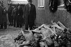 Mrtvá těla objevená po osvobození tábora v dubnu 1945. Americký senátor Alben W. Barkley pozoruje 24. dubna 1945 hrůzy koncentračního tábora Buchenwald.