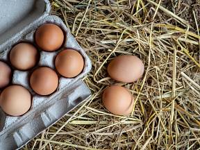 Bio vejce se od klecového liší nejen kódem.