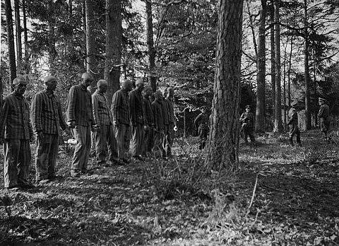 11. května 1942, polští vězni z Buchenwaldu krátce před popravou.