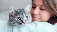 Víte, jaké nejčastější nemoci kočky mohou potkat?