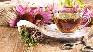 Echinacea je výborným pomocníkem při nachlazení. Také posiluje imunitu, proto není od věci ji formou čaje či jiných doplňků zařadit jako prevenci