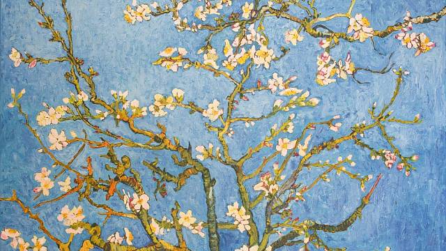 Van Gogha výrazně inspirovala rozkvetlá příroda