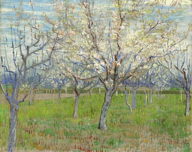 Van Gogha inspirovaly ke zpodobení kvetoucích stromů japonské tisky.