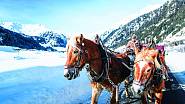 Lorenzo vozí turisty údolím v kočáře taženém koňmi.