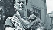 Frida se vždy obklopovala zvířaty, nejvíc ale opičkami.