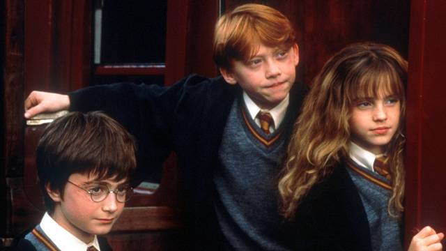 Harry Potter a jeho kamarádi