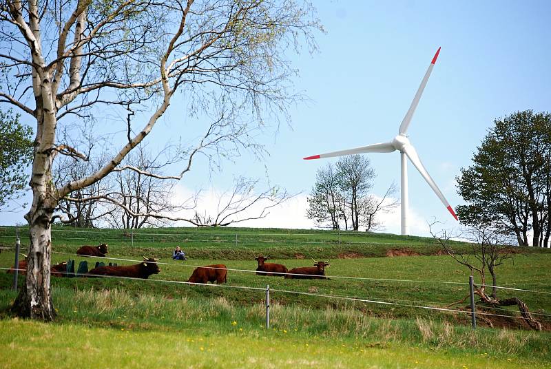 Nejlepší ekofarmou roku 2022 je Farma Kateřina v Krušných horách na Mostecku, která se zaměřuje na chov plemenného dobytka. Rodinný podnik založili v roce 1995 manželé Adolf a Kateřina Loosovi z Hory Svaté Kateřiny.