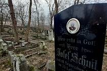 Nefunkční německo-český hřbitov ve vsi České Zlatníky u Obrnic na Mostecku.
