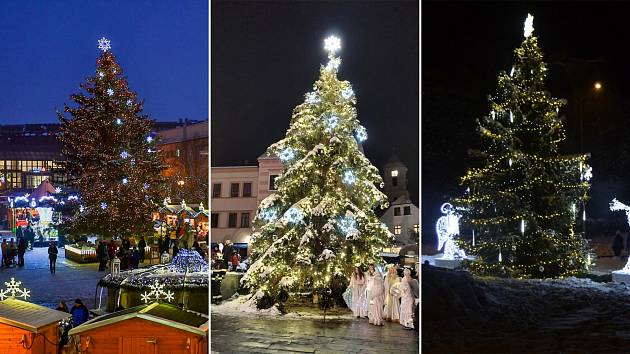 Vánoční stromy na Mostecku.