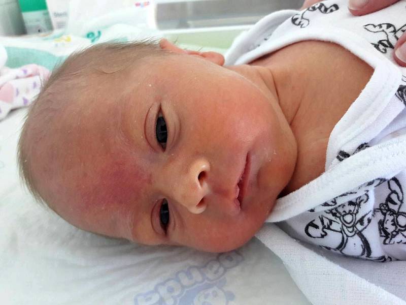 Anežka Brůmová se narodila 14. dubna 2018 v 1.10 hodin mamince Veronice Brůmové z Vilémova. Měřila 45 cm a vážila 2,13 kilogramu.