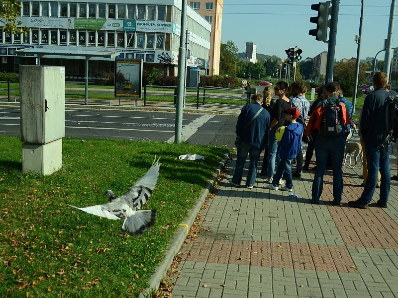 V sobotu 30. září se v Mostě konal druhý ročník Dne architektury. Zahrnoval komentovanou procházku po třídě Budovatelů a doprovodné přednášky v The Most café pod radnicí.