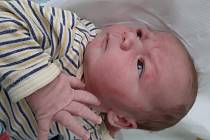 Lukáš Fleissner se narodil mamince Pavle Fleissnerové z Havraně 31. října v 8.25 hodin. Měřil 52 cm a vážil 3,75 kilogramu.