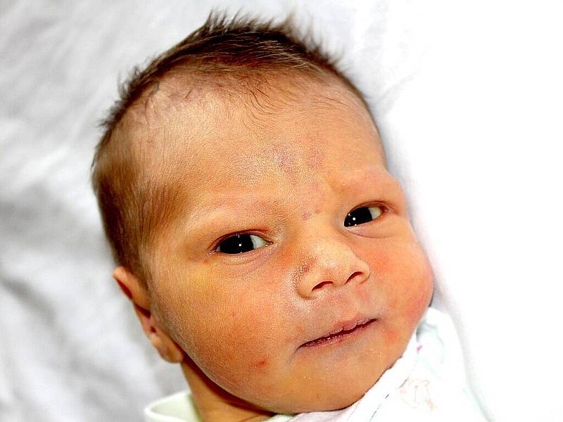 Mamince Veronice Štichové se dne 8. srpna narodil chlapeček Michal Štich. Michal po narození vážil 3,2 kilogramu a měřil 53 centimetrů.