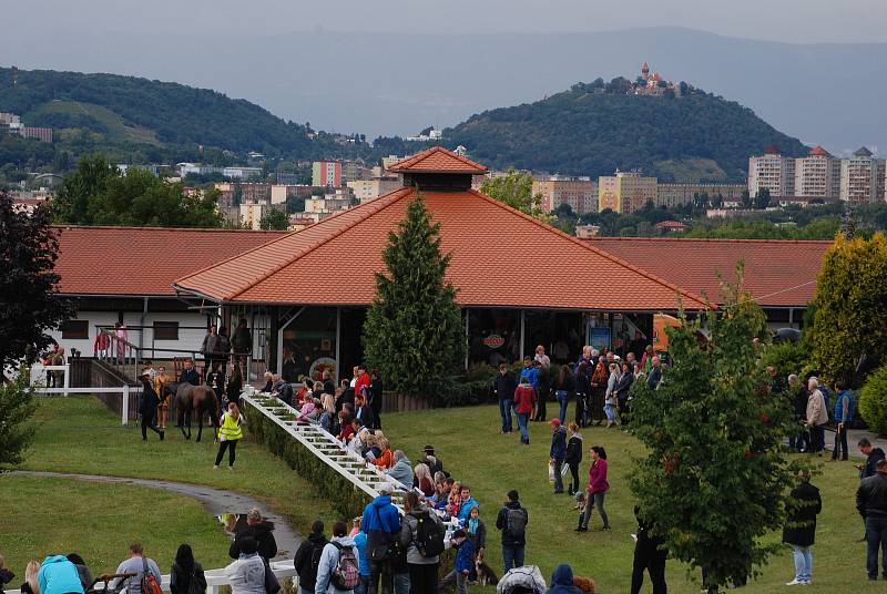 Češi fandili koním na dostizích v Mostě.