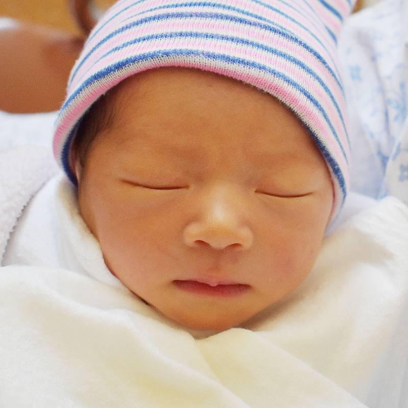 Liay Lai se narodila mamince Uyen Thi To Lai z Teplic 8. srpna v 12.58 hodin. Měřila 45 cm, vážila 2,55 kg.