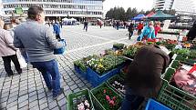 Farmářský trh na 1. náměstí v Mostě v sobotu 24. dubna.