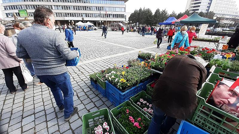 Farmářský trh na 1. náměstí v Mostě v sobotu 24. dubna.