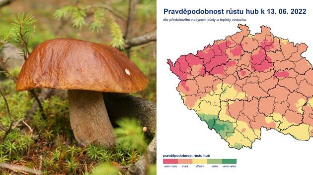 Meteorologové letos nově každý den přinášejí mapu zobrazující pravděpodobnost růstu hub.