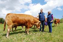 Nejlepší ekofarmou roku 2022 je Farma Kateřina v Krušných horách na Mostecku, která se zaměřuje na chov plemenného dobytka. Rodinný podnik založili v roce 1995 manželé Adolf a Kateřina Loosovi z Hory Svaté Kateřiny (na snímku).
