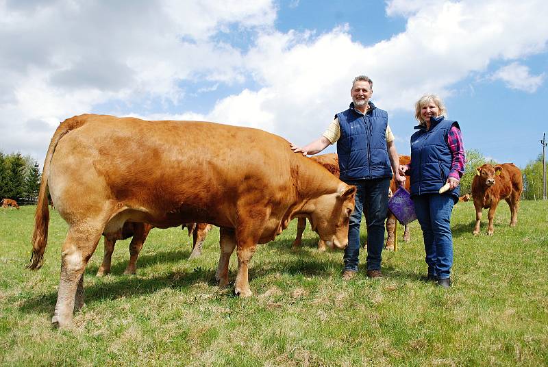 Nejlepší ekofarmou roku 2022 je Farma Kateřina v Krušných horách na Mostecku, která se zaměřuje na chov plemenného dobytka. Rodinný podnik založili v roce 1995 manželé Adolf a Kateřina Loosovi z Hory Svaté Kateřiny (na snímku).