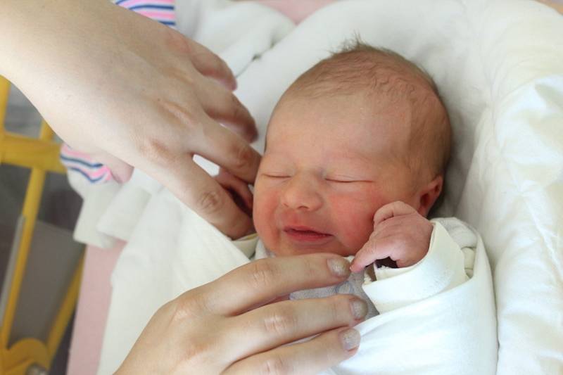 Lukášek Domabyl se narodil 23. října ve 21.24 hodin rodičům Pavle Šmidílkové a Milanu Domabylovi z Varnsdorfu. Měřil 49 cm a vážil 3,11 kg.