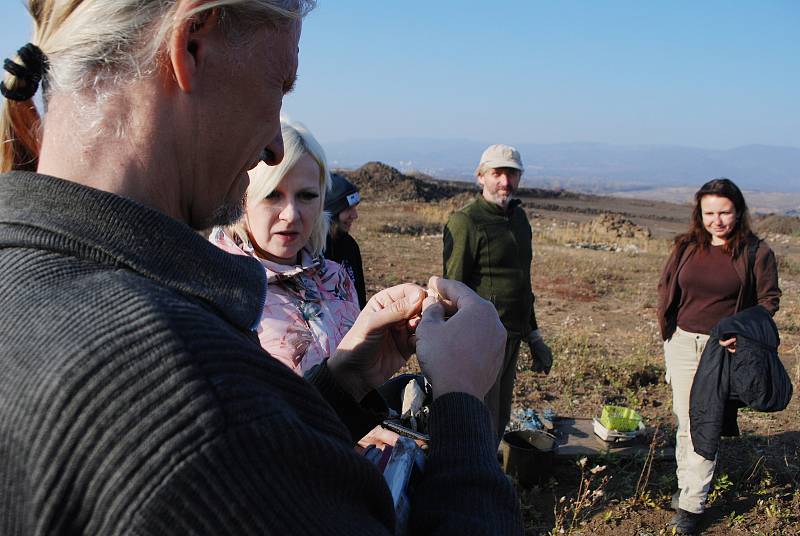 Archeologické naleziště Nesvětice. Výzkum lokality s pohřebištěm a vesnicí byl přerušen 29. října 2021, na jaře 2022, po zimní pauze, budou práce v terénu obnoveny.