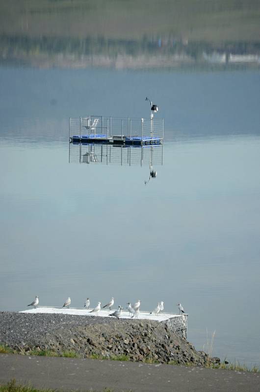 Jezero Most je připravené na otevření veřejnosti