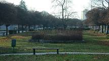 Park u bývalých kasáren v Mostě. I jeho obnovu by mohli žádat Mostečané v rámci participativního rozpočtu v roce 2020